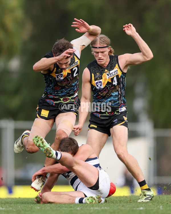 VFL 2025 Round 12 - Werribee v Geelong Cats - A-60050096