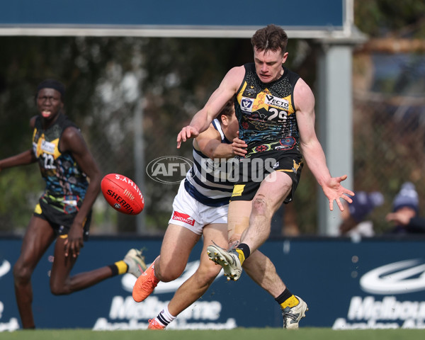 VFL 2025 Round 12 - Werribee v Geelong Cats - A-60050097