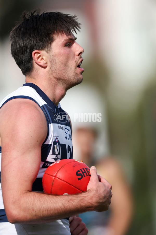 VFL 2025 Round 12 - Werribee v Geelong Cats - A-60050099