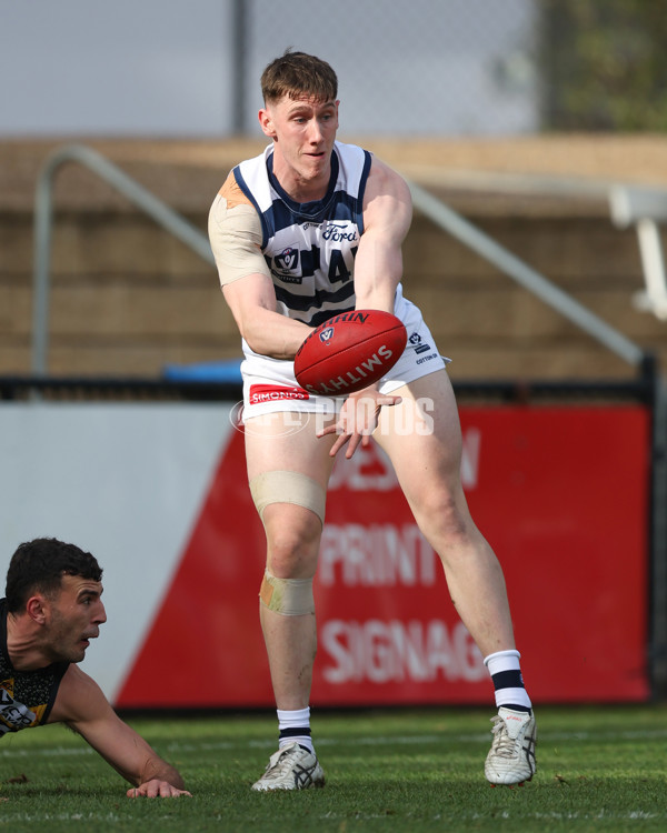 VFL 2025 Round 12 - Werribee v Geelong Cats - A-60050100