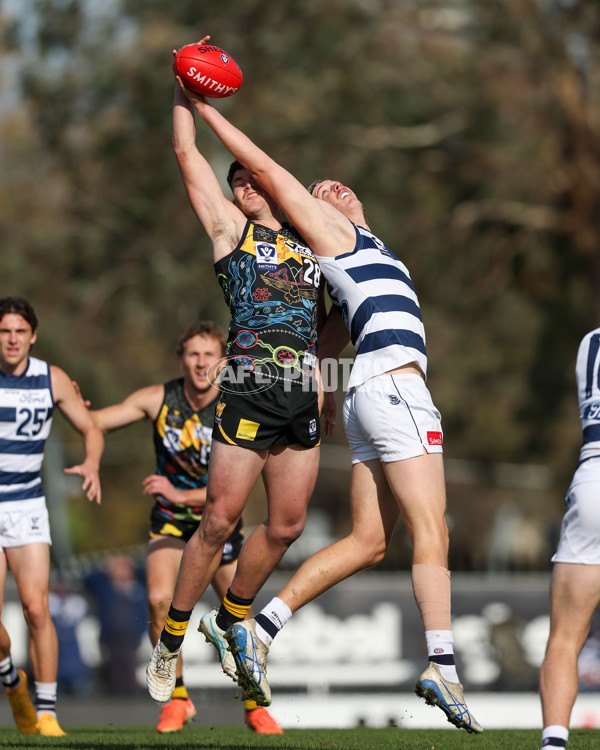 VFL 2025 Round 12 - Werribee v Geelong Cats - A-60050101