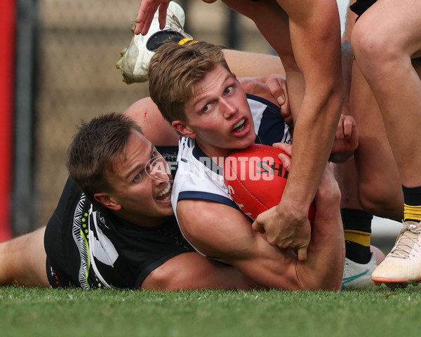 VFL 2025 Round 12 - Werribee v Geelong Cats - A-60050102