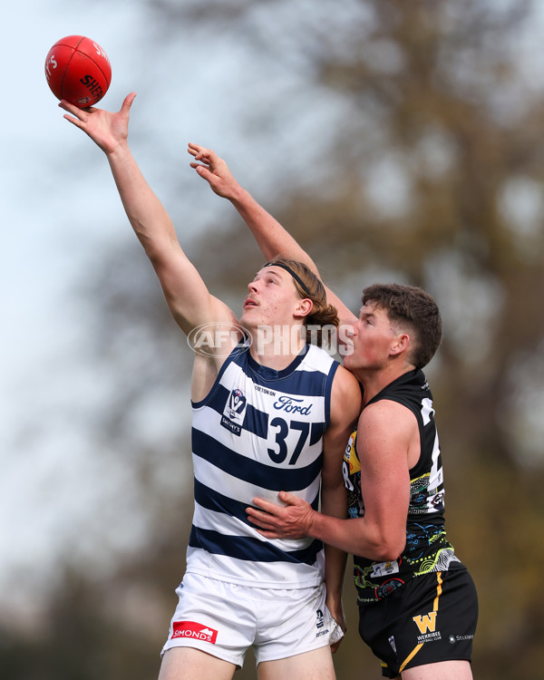 VFL 2025 Round 12 - Werribee v Geelong Cats - A-60050115