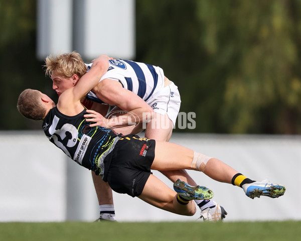 VFL 2025 Round 12 - Werribee v Geelong Cats - A-60050116