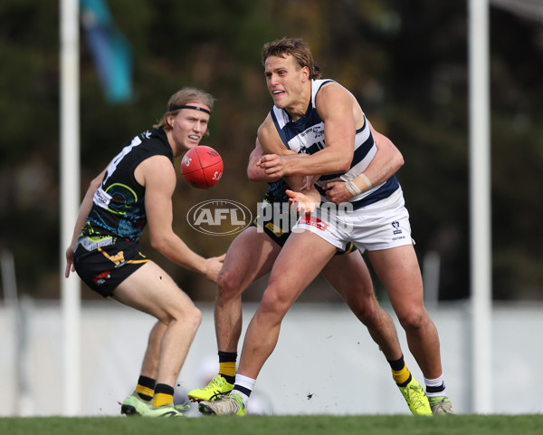 VFL 2025 Round 12 - Werribee v Geelong Cats - A-60050117