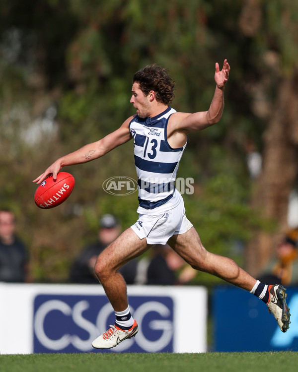 VFL 2025 Round 12 - Werribee v Geelong Cats - A-60050141