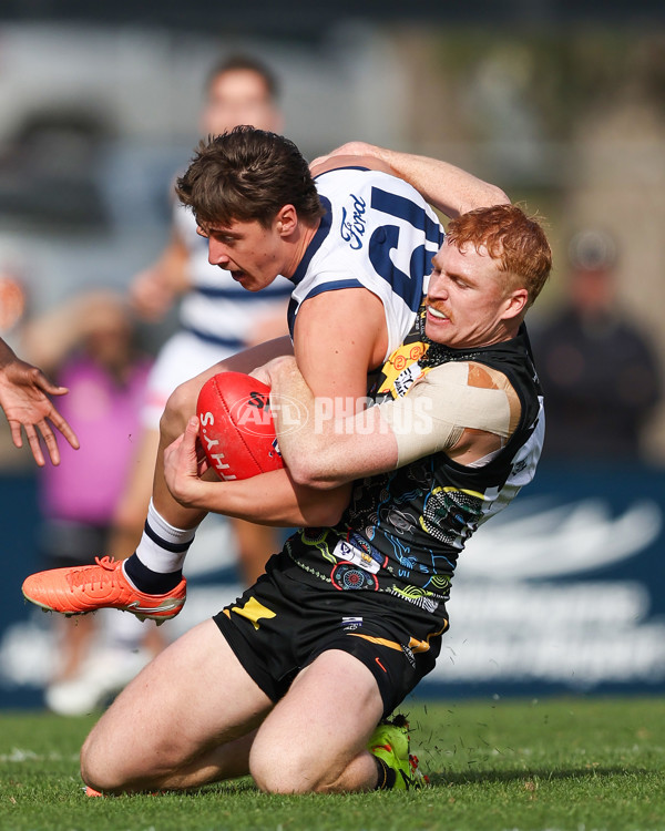 VFL 2025 Round 12 - Werribee v Geelong Cats - A-60050146
