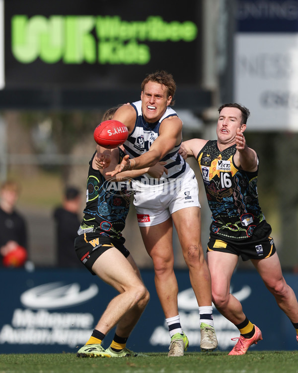 VFL 2025 Round 12 - Werribee v Geelong Cats - A-60050149
