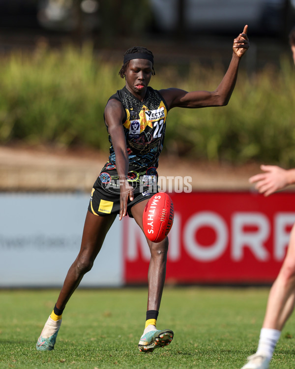 VFL 2025 Round 12 - Werribee v Geelong Cats - A-60051876