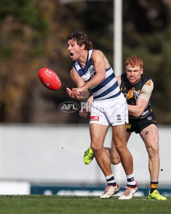 VFL 2025 Round 12 - Werribee v Geelong Cats - A-60051904