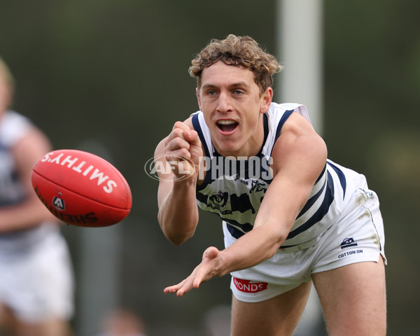VFL 2025 Round 12 - Werribee v Geelong Cats - A-60051932