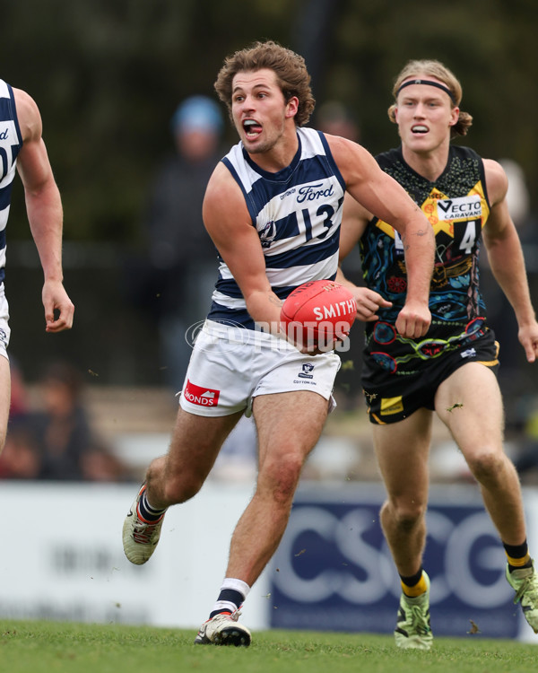 VFL 2025 Round 12 - Werribee v Geelong Cats - A-60051935