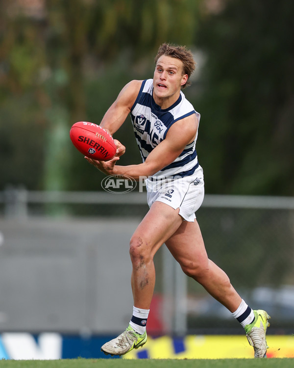 VFL 2025 Round 12 - Werribee v Geelong Cats - A-60051938
