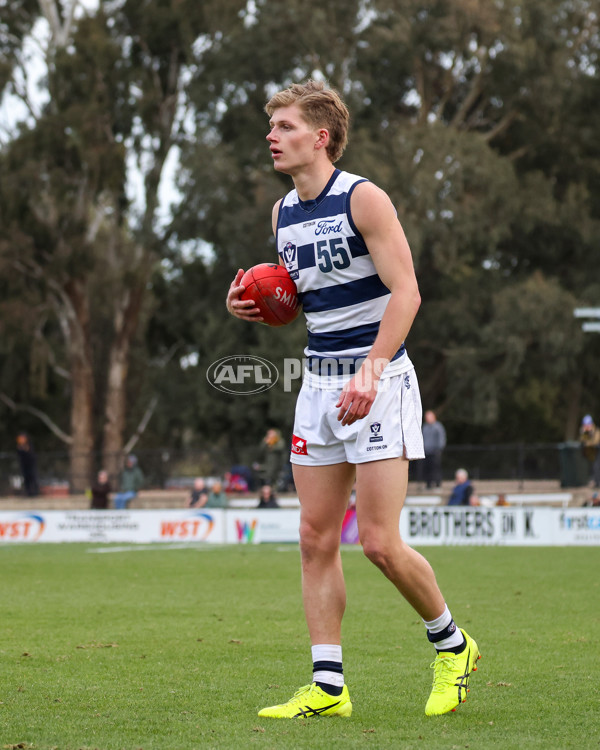 VFL 2025 Round 12 - Werribee v Geelong Cats - A-60051941