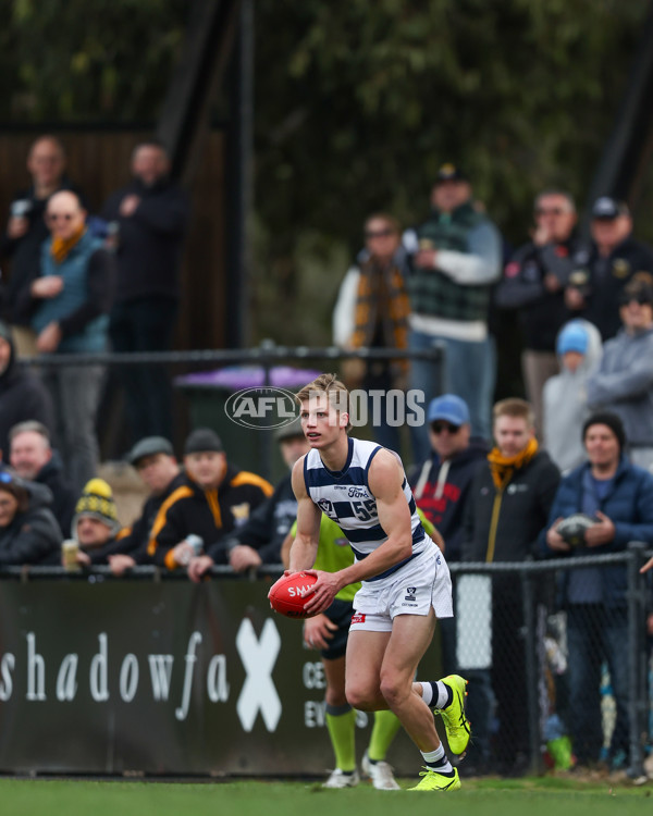 VFL 2025 Round 12 - Werribee v Geelong Cats - A-60051944