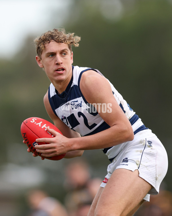 VFL 2025 Round 12 - Werribee v Geelong Cats - A-60051949