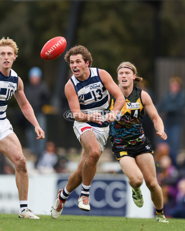 VFL 2025 Round 12 - Werribee v Geelong Cats - A-60051967