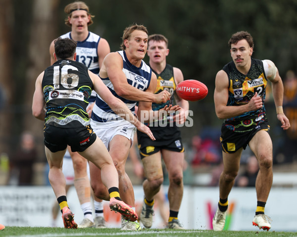 VFL 2025 Round 12 - Werribee v Geelong Cats - A-60053032