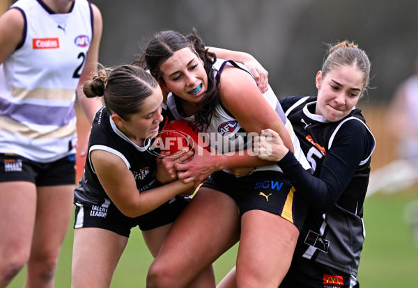 Coates League Girls 2025 Round 10 - GWV Rebels v Murray Bushrangers - A-60057181