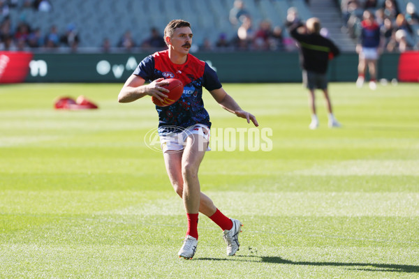 AFL 2025 Round 14 - Port Adelaide v Melbourne - A-60058672