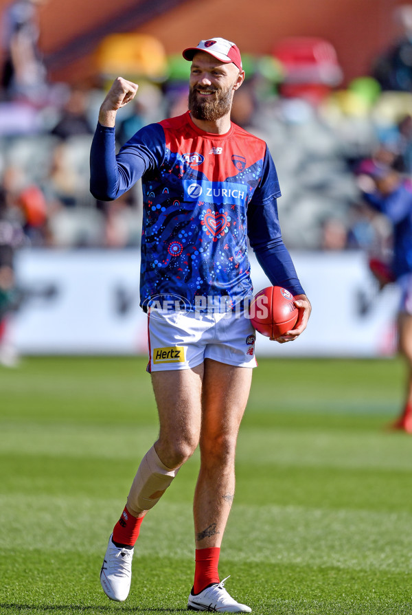 AFL 2025 Round 14 - Port Adelaide v Melbourne - A-60058703