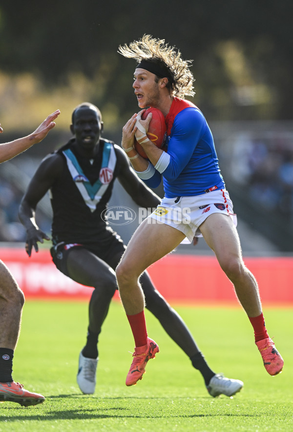 AFL 2025 Round 14 - Port Adelaide v Melbourne - A-60059413