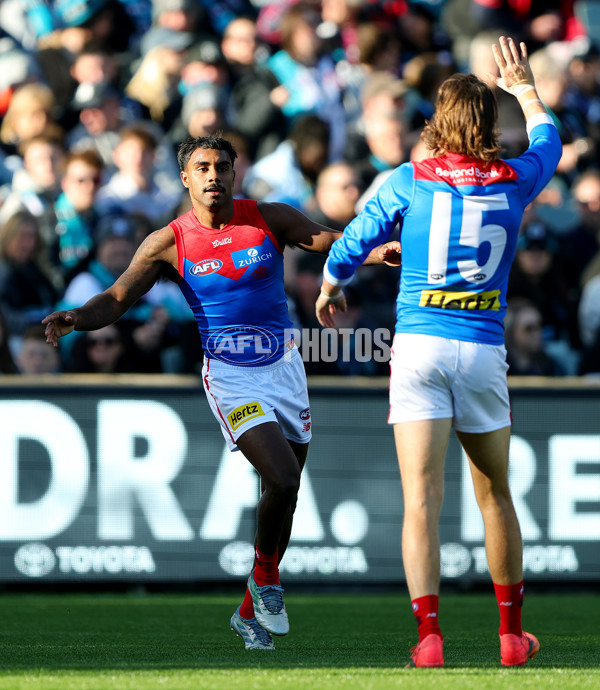 AFL 2025 Round 14 - Port Adelaide v Melbourne - A-60059432
