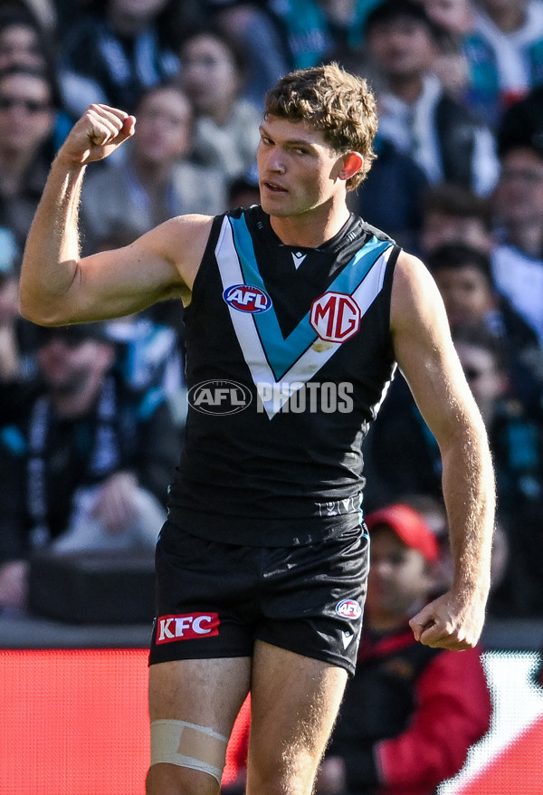 AFL 2025 Round 14 - Port Adelaide v Melbourne - A-60059433