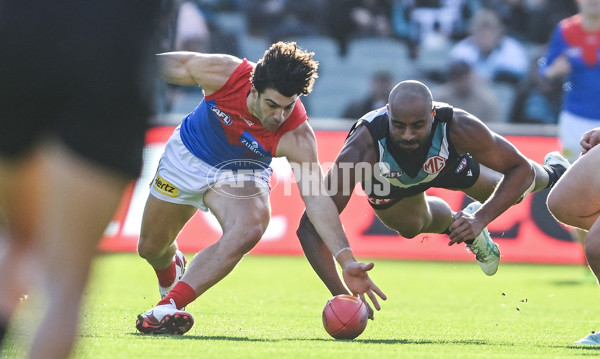 AFL 2025 Round 14 - Port Adelaide v Melbourne - A-60060979