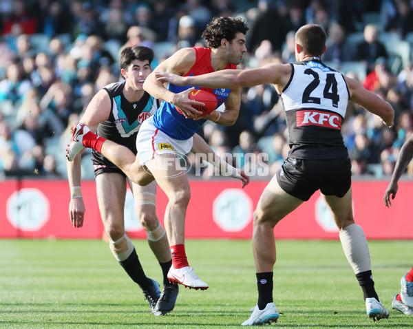 AFL 2025 Round 14 - Port Adelaide v Melbourne - A-60060983