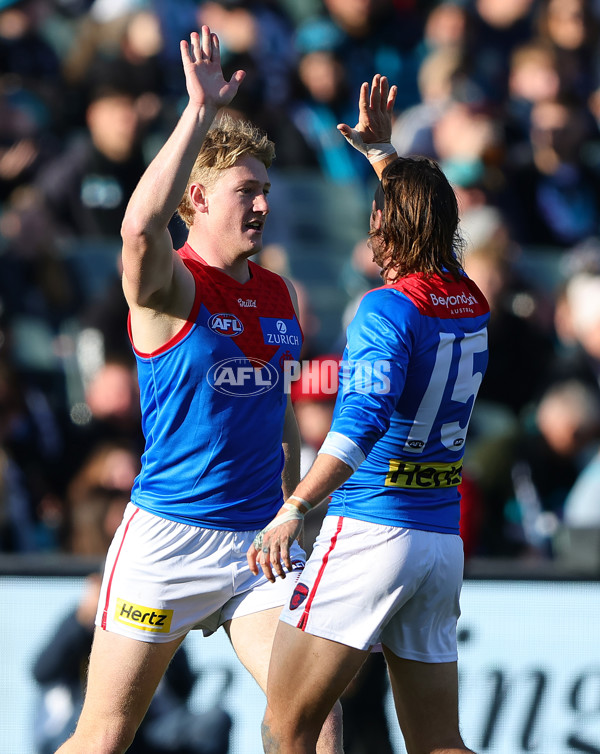 AFL 2025 Round 14 - Port Adelaide v Melbourne - A-60060992