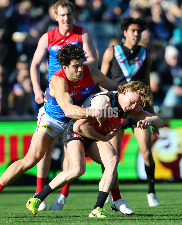 AFL 2025 Round 14 - Port Adelaide v Melbourne - A-60061004