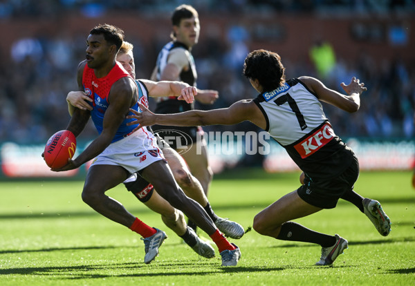 AFL 2025 Round 14 - Port Adelaide v Melbourne - A-60061011