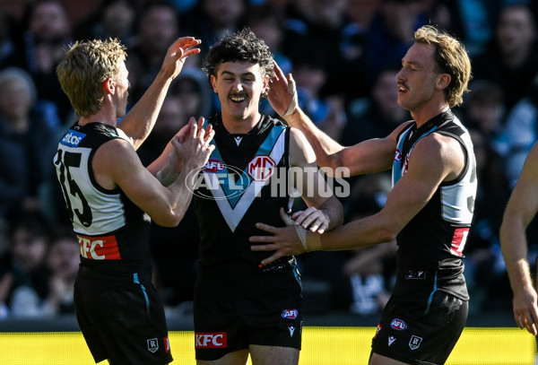 AFL 2025 Round 14 - Port Adelaide v Melbourne - A-60061013