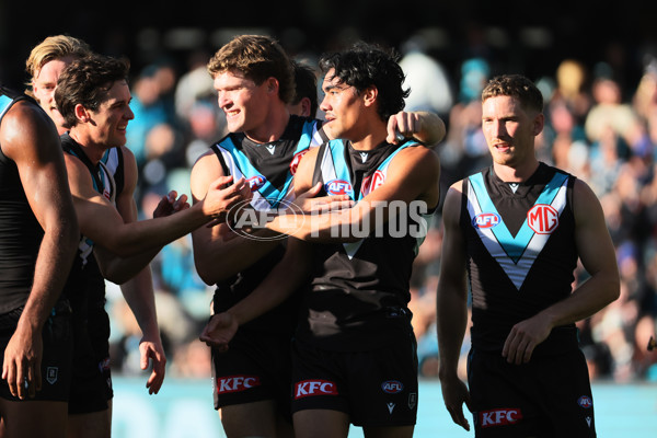 AFL 2025 Round 14 - Port Adelaide v Melbourne - A-60061022