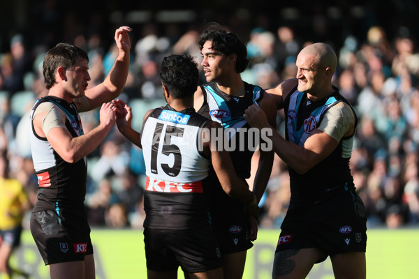 AFL 2025 Round 14 - Port Adelaide v Melbourne - A-60061023