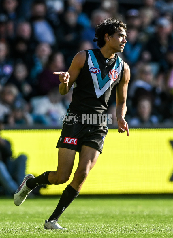 AFL 2025 Round 14 - Port Adelaide v Melbourne - A-60061032