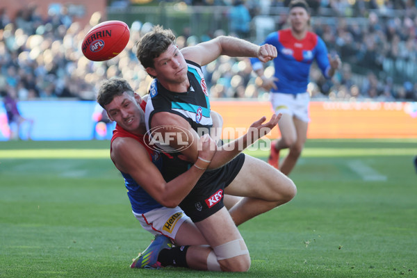 AFL 2025 Round 14 - Port Adelaide v Melbourne - A-60061033