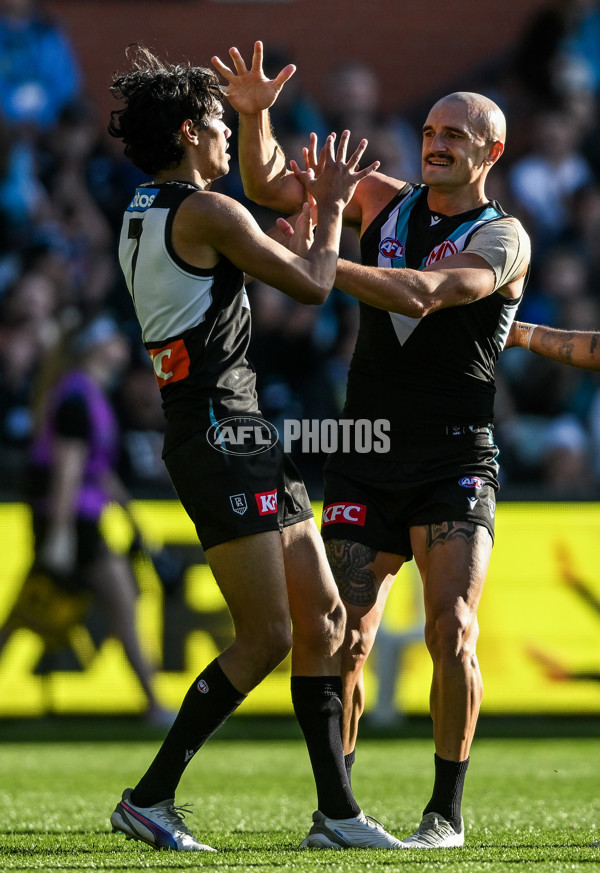 AFL 2025 Round 14 - Port Adelaide v Melbourne - A-60061034