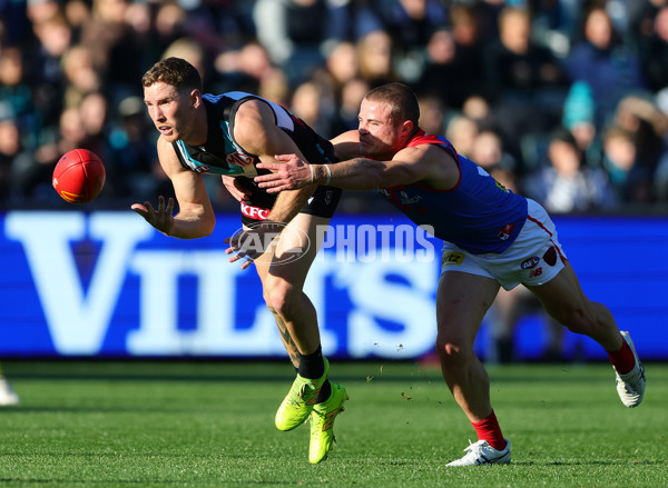 AFL 2025 Round 14 - Port Adelaide v Melbourne - A-60061043