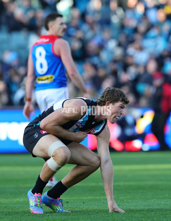 AFL 2025 Round 14 - Port Adelaide v Melbourne - A-60061063