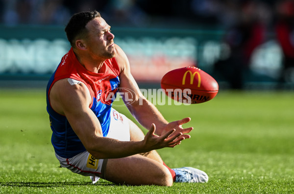 AFL 2025 Round 14 - Port Adelaide v Melbourne - A-60061973