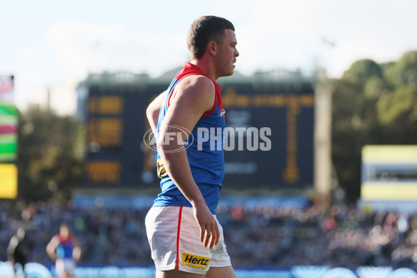 AFL 2025 Round 14 - Port Adelaide v Melbourne - A-60061983