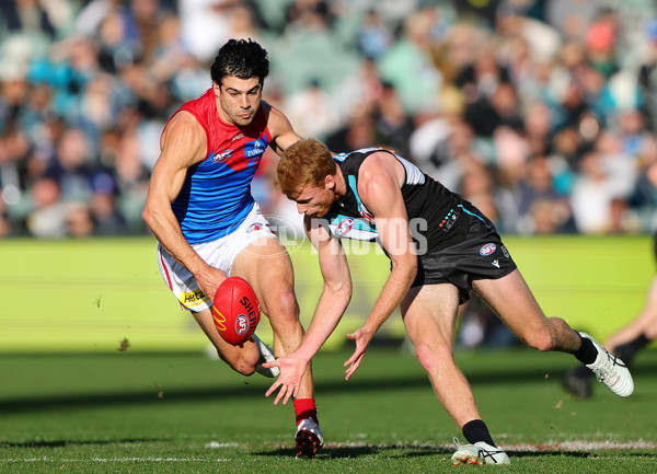 AFL 2025 Round 14 - Port Adelaide v Melbourne - A-60061995