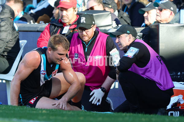 AFL 2025 Round 14 - Port Adelaide v Melbourne - A-60062015