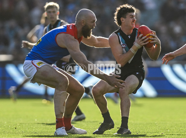 AFL 2025 Round 14 - Port Adelaide v Melbourne - A-60062026