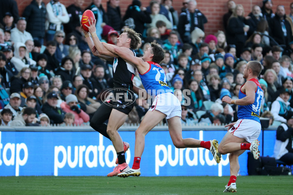 AFL 2025 Round 14 - Port Adelaide v Melbourne - A-60063488