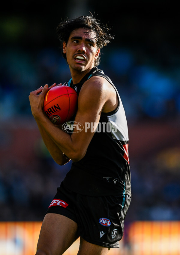 AFL 2025 Round 14 - Port Adelaide v Melbourne - A-60063507