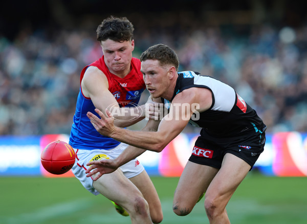 AFL 2025 Round 14 - Port Adelaide v Melbourne - A-60063513