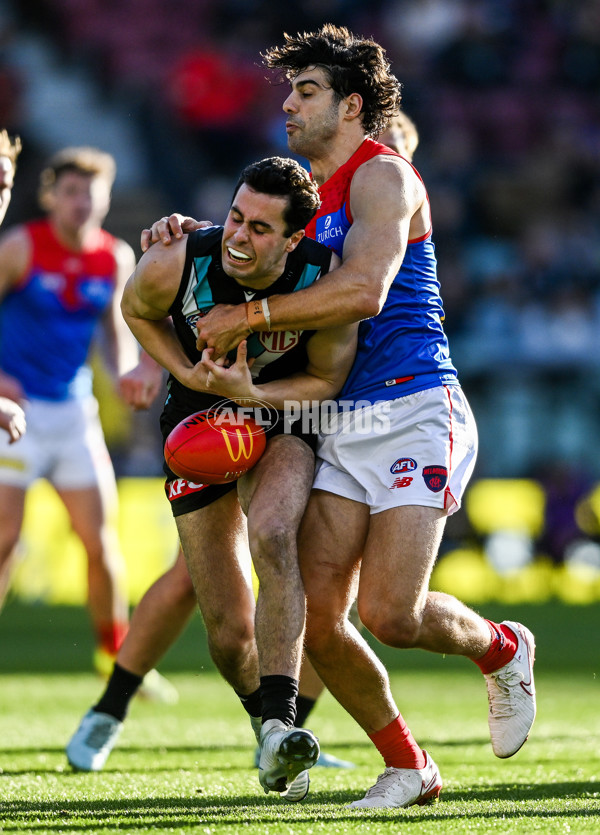 AFL 2025 Round 14 - Port Adelaide v Melbourne - A-60063515